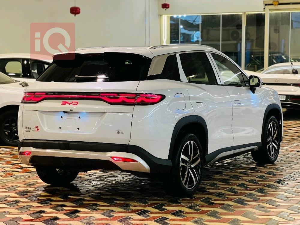 بي واي دي سونغ L DM-i